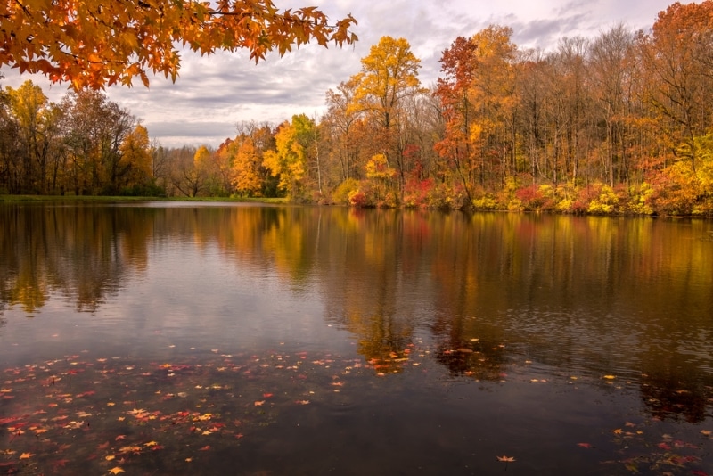 Indianapolis, Eagle Creek park lac en automne