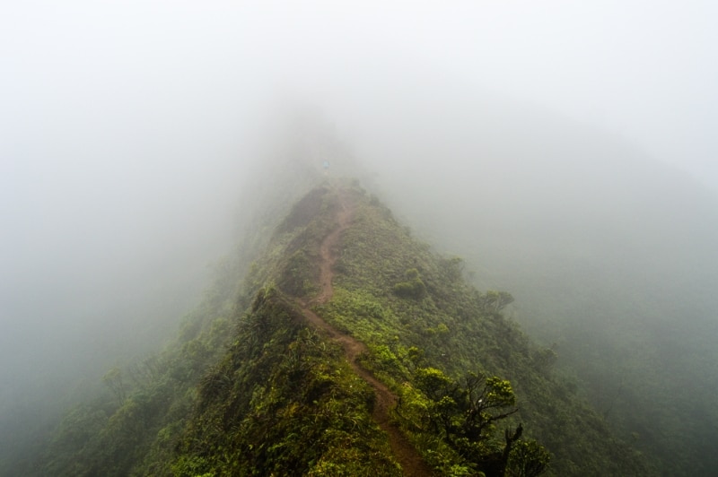 Moanalua Valley Trail au milieu de la jungle Hawaii haiku stairs