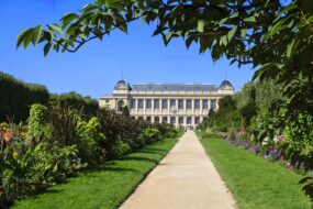 museum histoire naturelle de paris jardin des plantes