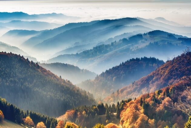 Parc national de Forêt noire en Allemagne