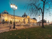Petit Palais à Paris vue panoramique