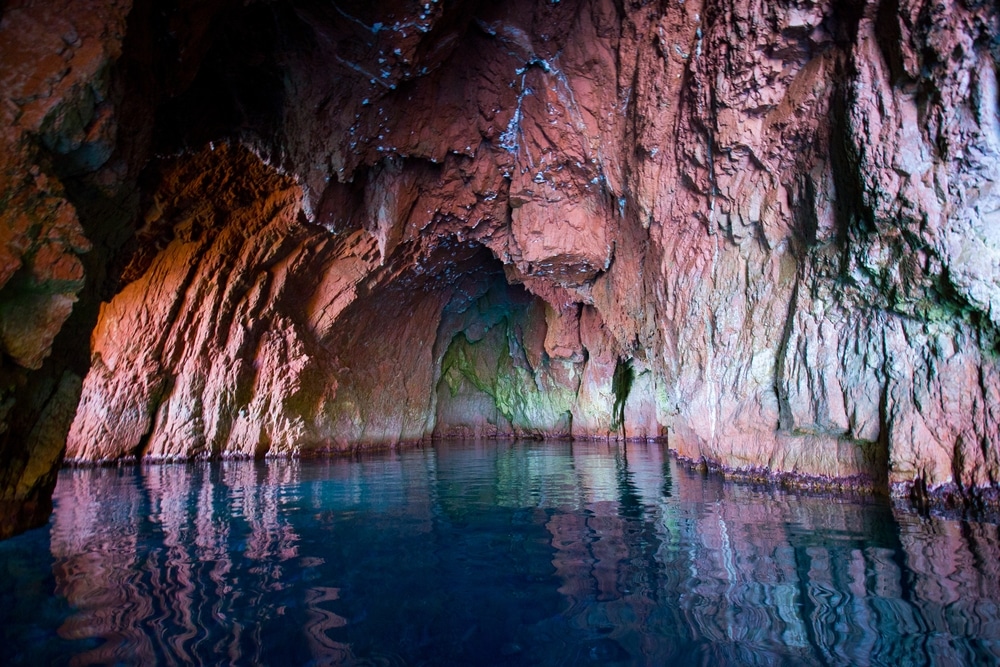 Campanina en Corse grotte