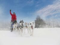 Activités outdoor à faire dans les Pyrénées : chien de traineau