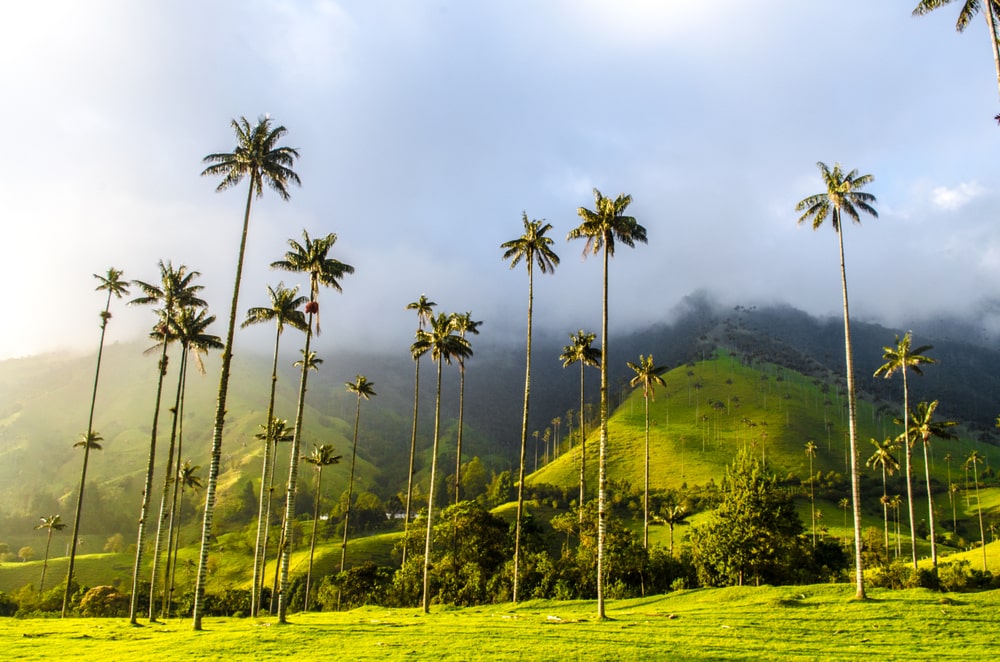 vallee-de-cocora-colombie