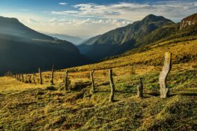Visiter le Parc Naturel Los Nevados en Colombie