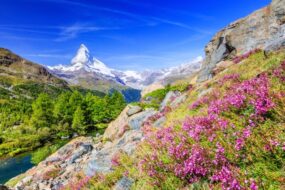 zermatt suisse montagnes fleuries