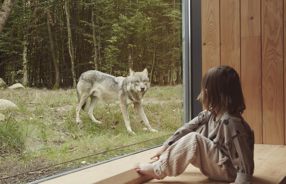 Parc animalier de Sainte-Croix