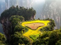 terrasse culture riz ecotourisme dans le monde