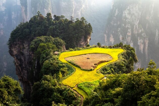 terrasse culture riz ecotourisme dans le monde