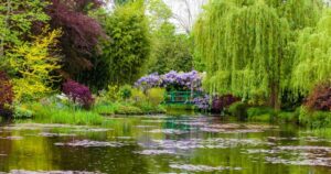jardins de monet giverny lac et passerelle glycine