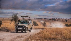 safari en jeep sur une route en terre en Afrique