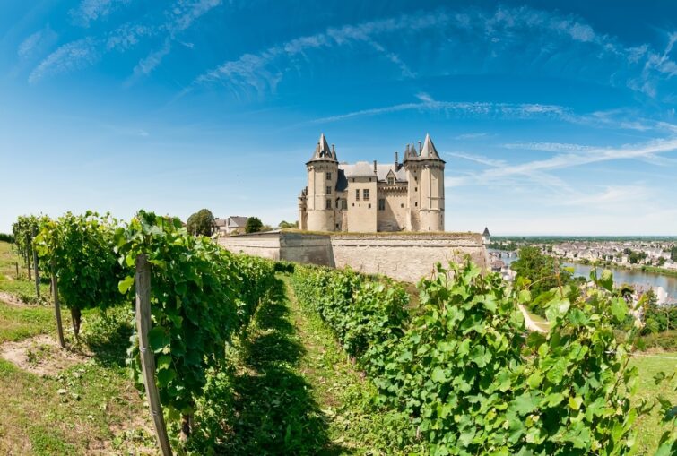 vignoble france la loire chateau de saumur
