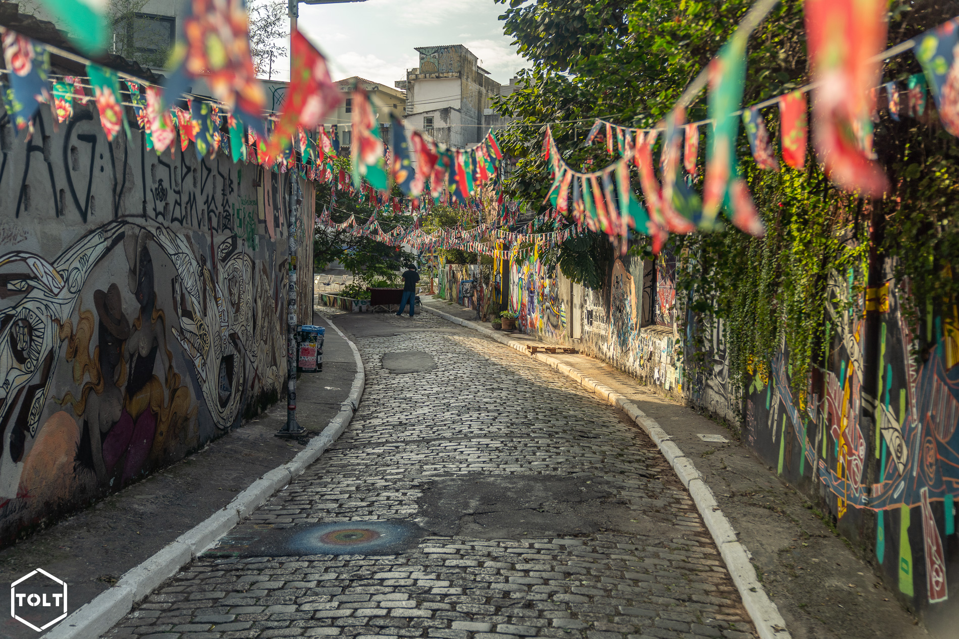 Le quartier de Beco do Batman à Sao Paulo, connu pour son art de rue