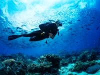 Quelle assurance voyage pour faire de la plongée sous-marine ?