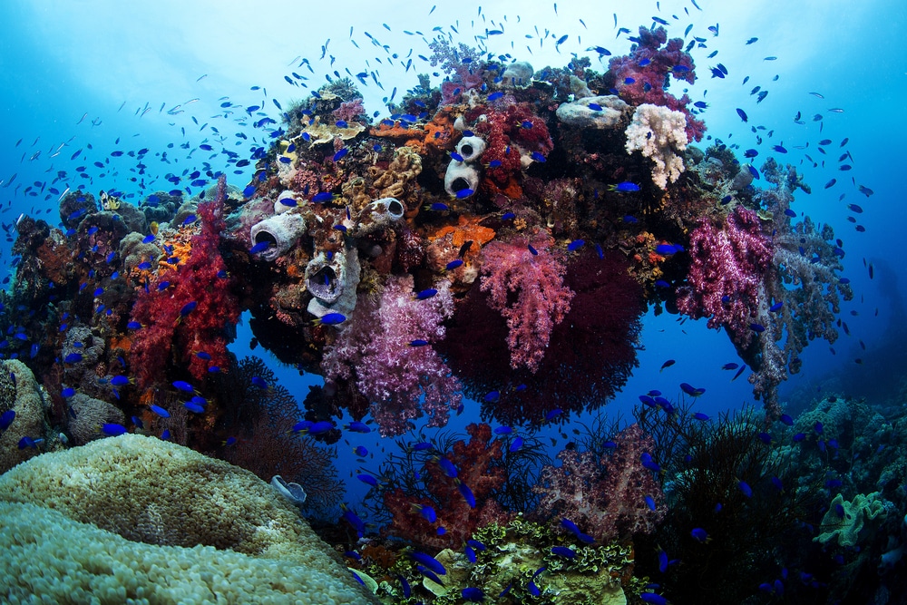 Le Truk Lagoon en Micronésie