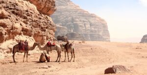 Jordan Trail : voyage sur la Route des Rois