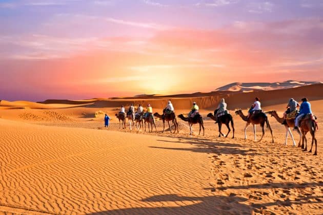 Caravane de chameaux traversant les dunes de sable dans le désert du Sahara, Maroc.