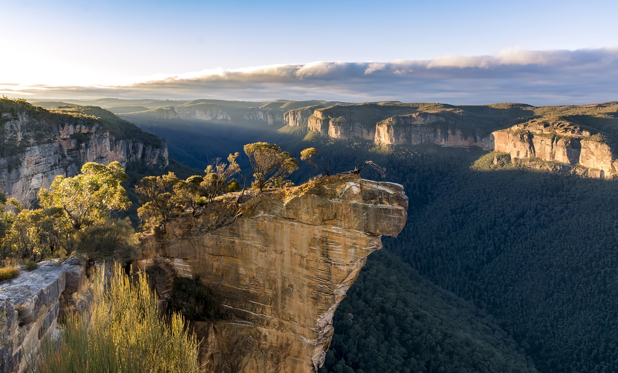 Guetteur de roche, Blue Mountains, Australie