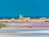 Vue d'Aigues-Mortes depuis les Salins du Midi
