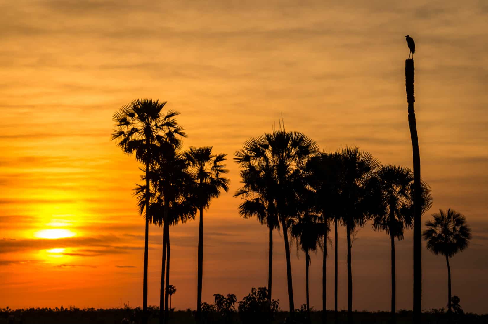 Paraguay - Attraction la plus populaire
