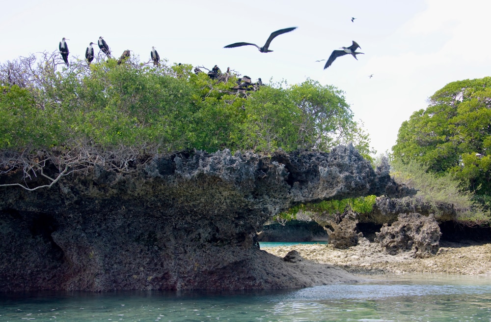Atoll d’Aldabra