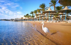 Les 10 choses incontournables à faire à Hurghada