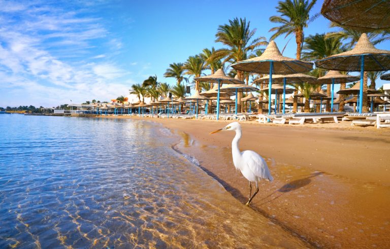 Les 10 Choses Incontournables Faire Hurghada Les 10 Choses Incontournables Faire Hurghada