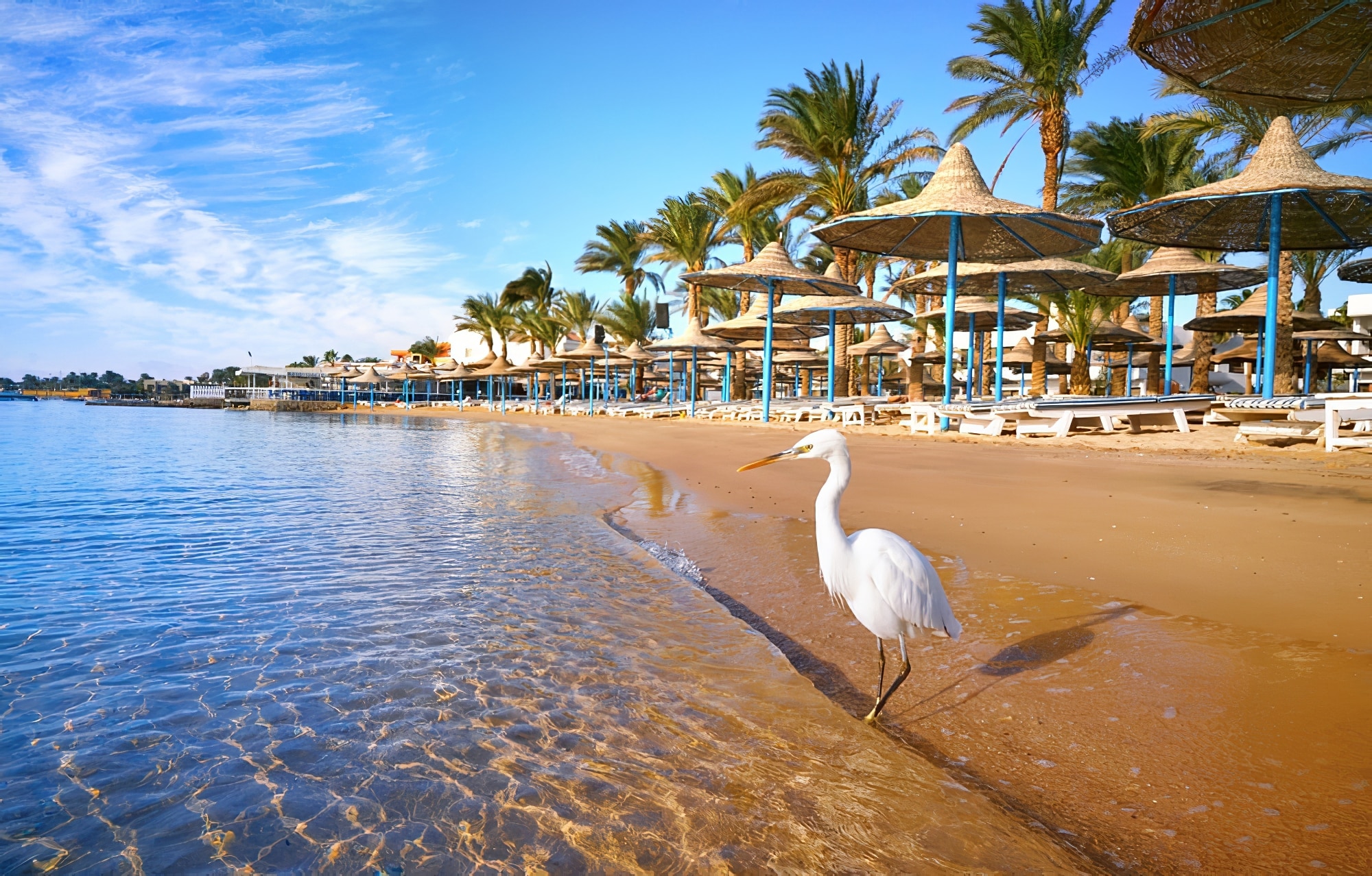 Dans Quel Quartier Loger Hurghada