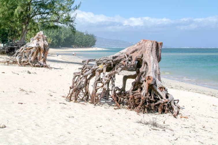 La plage de l'Hermitage sur l'île de La Réunion, France
