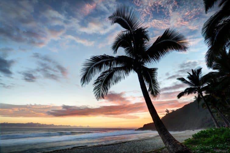 Palmier sur la plage au coucher du soleil. Île Reunion