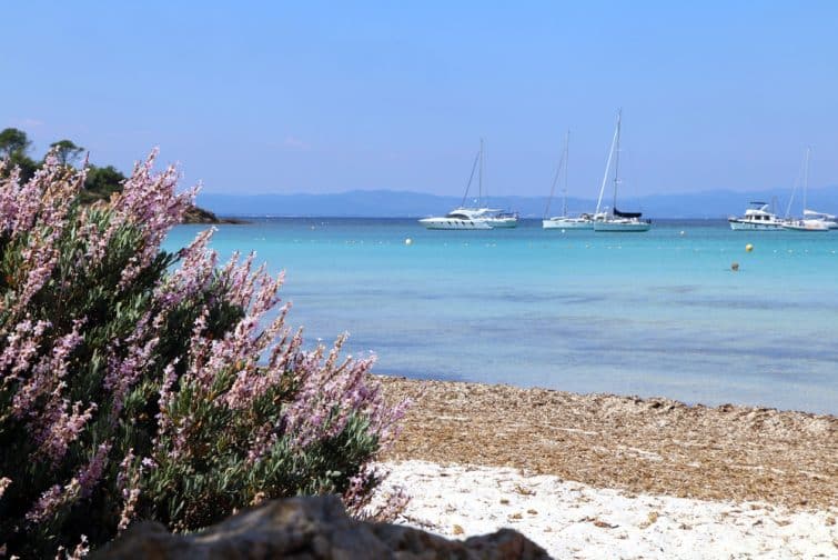 Porquerolles island, France. Beautiful view of Silver beach