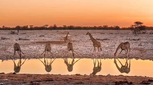 Guide voyage Namibie