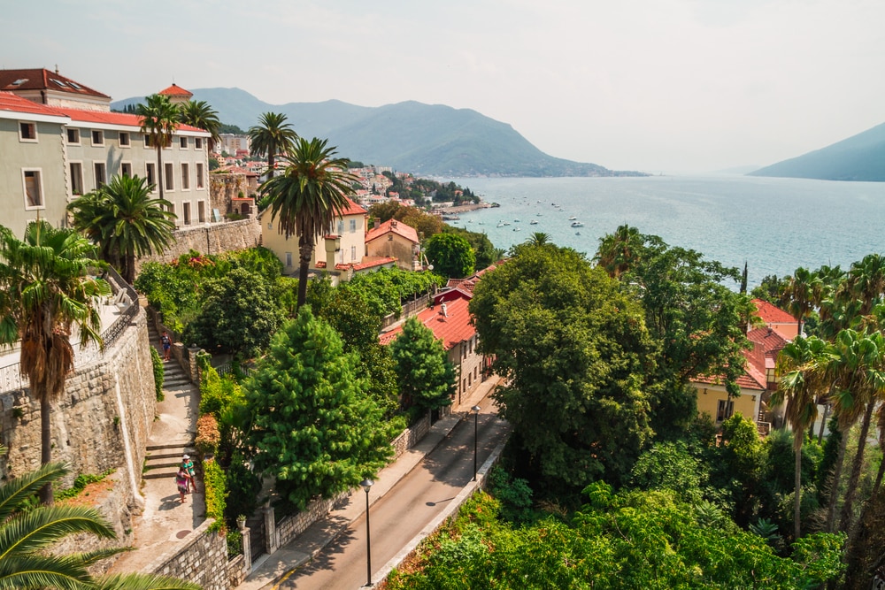 herceg novi tourist information