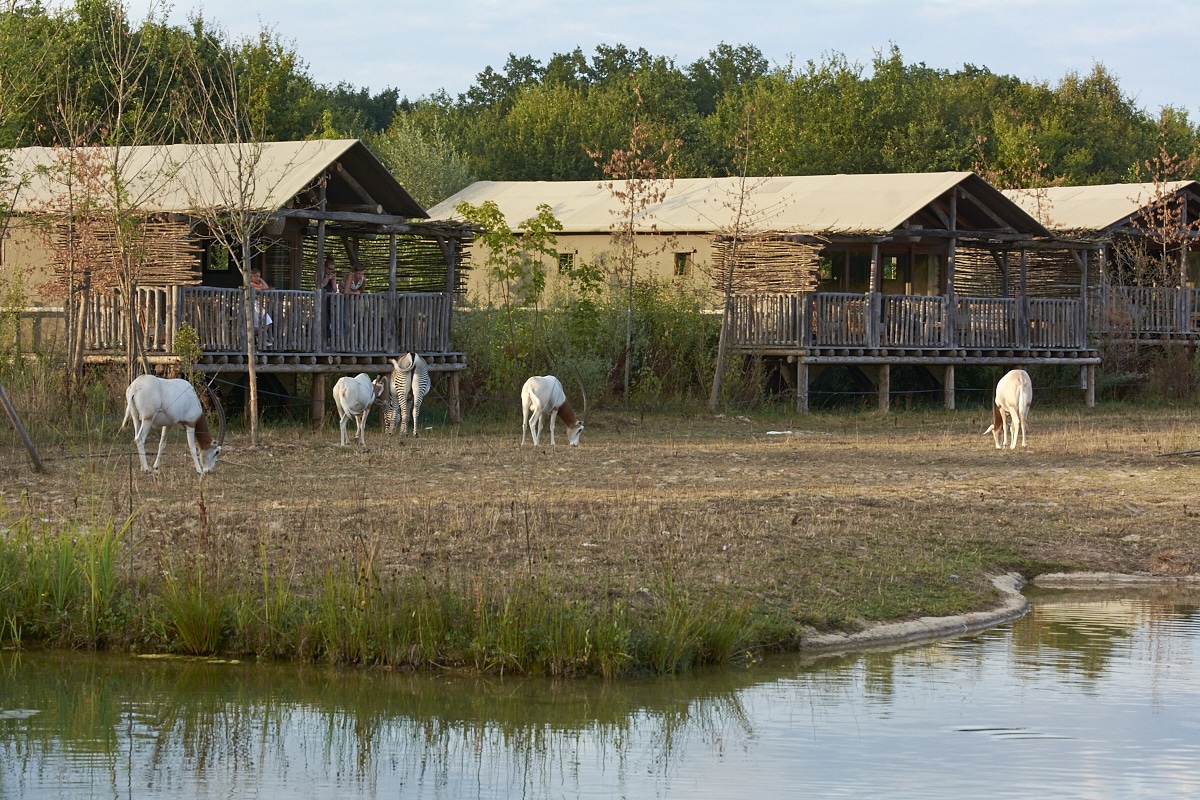 Visiter le parc animalier Le Pal : billets, tarifs, horaires