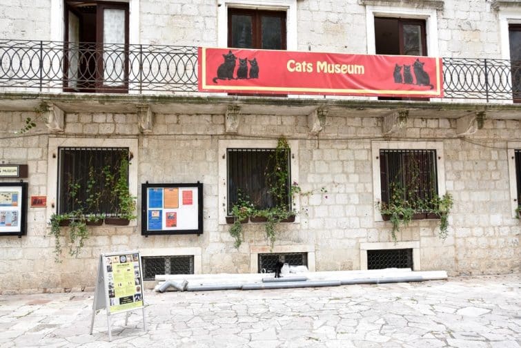musée des Chats