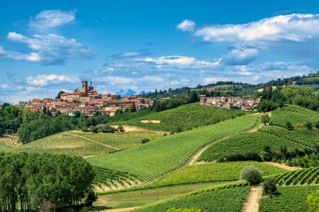 Vue d'Asti et ses vignobles