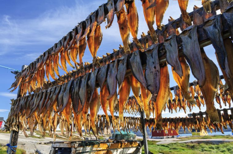 Le poisson séché dans la colonie de Rodebay, au Groenland
