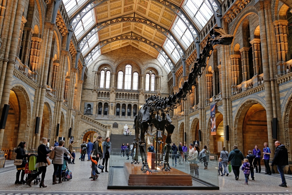 Musée d'Histoire Naturelle de Londres
