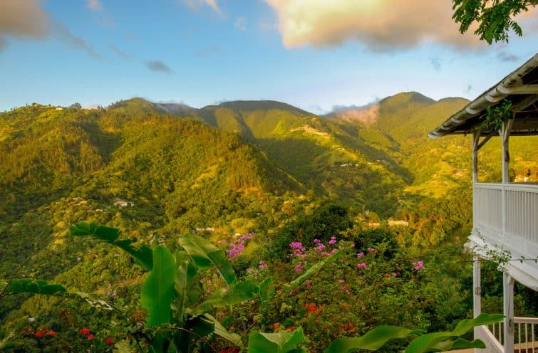 Blue Mountains, Jamaïque