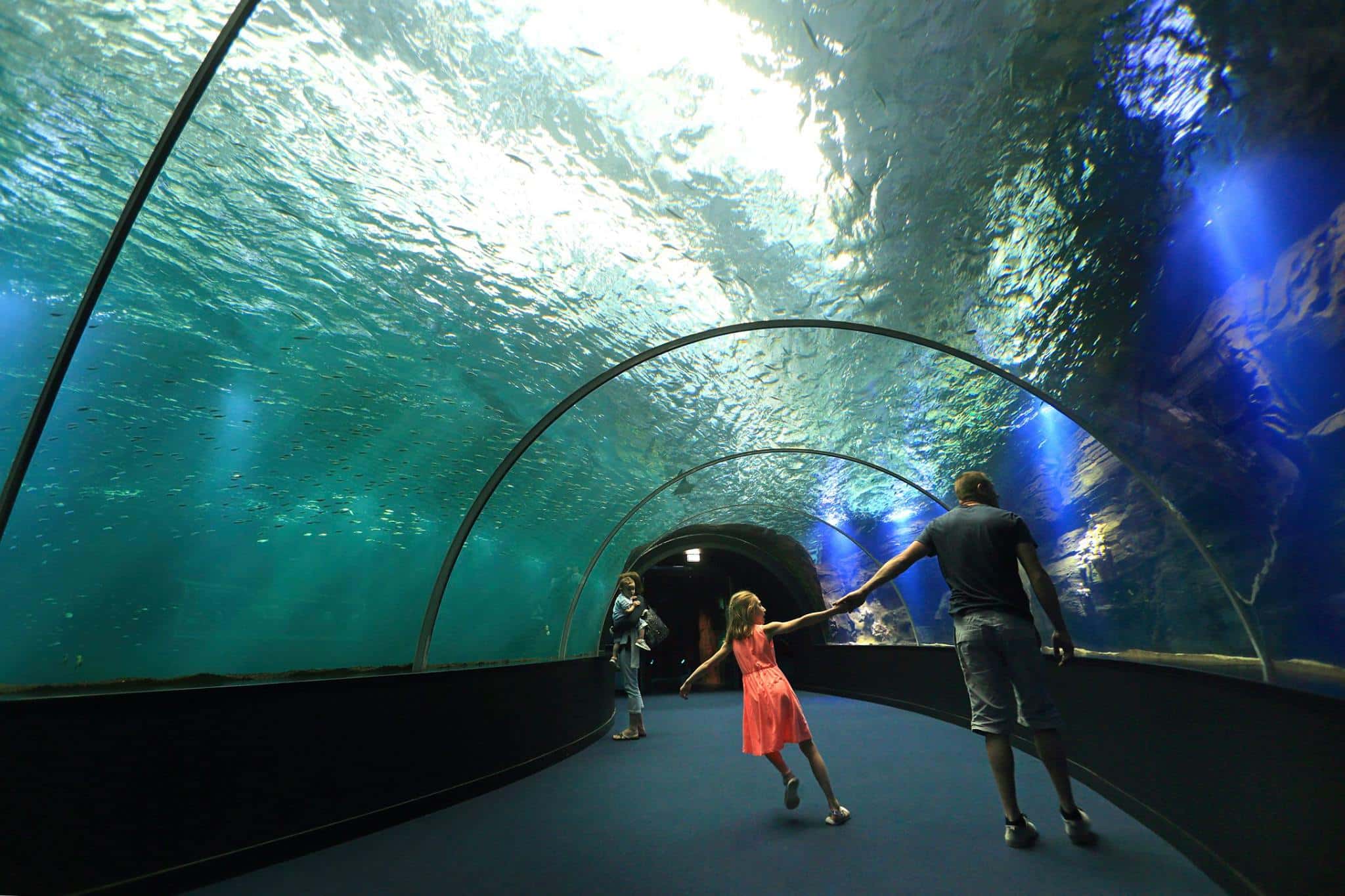 Le tunnel de Nausicaá 