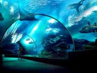 Visiter Sea Life Ocean World à Bangkok