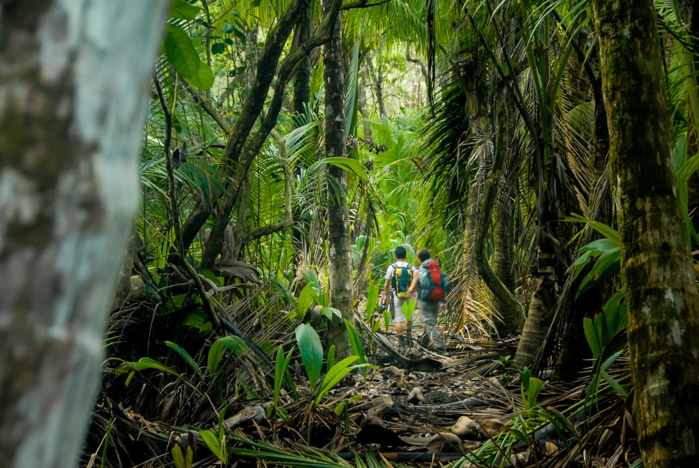 Deux randonneurs traversent l'épaisse jungle du parc national du Corcovado