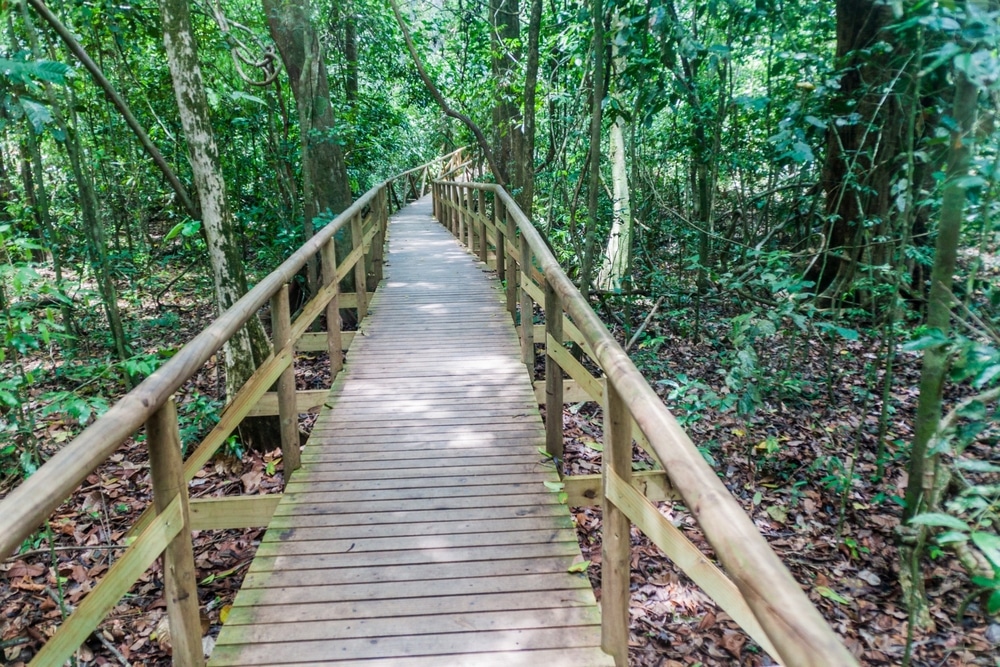 National Park Manuel Antonio, Costa Rica