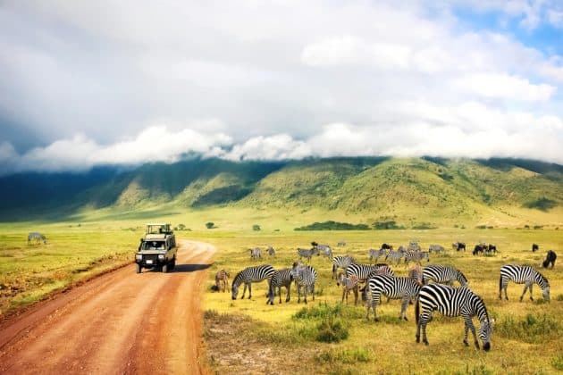 Nature sauvage de l'Afrique. Zèbres contre montagnes et nuages. Safari dans le parc national du cratère de Ngorongoro. Tanzanie.