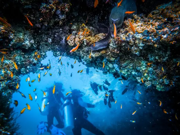The 10 best diving spots in Cape Verde