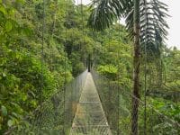Pont suspendu au parc naturel de la forêt tropicale, Costa Rica