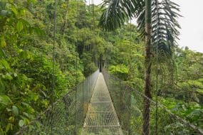 Pont suspendu au parc naturel de la forêt tropicale, Costa Rica