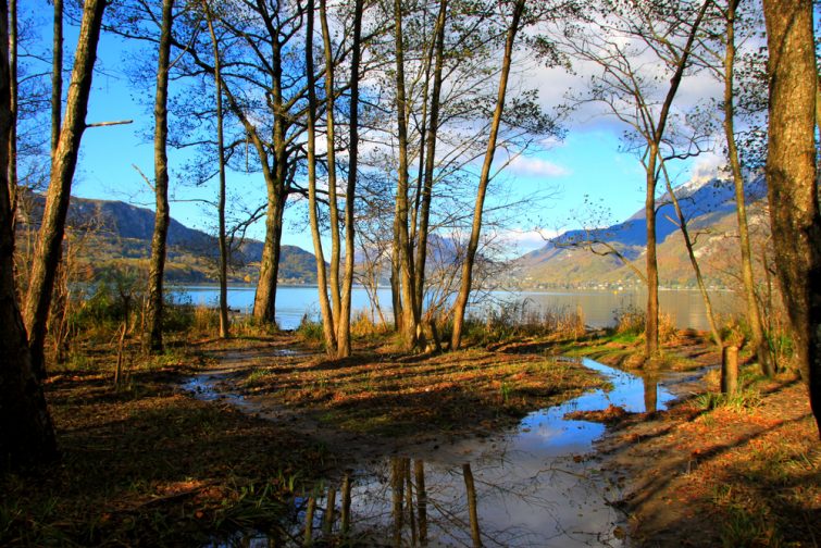 Réserve à l'extrémité du lac d'Annecy, Doussard, Alpes françaises