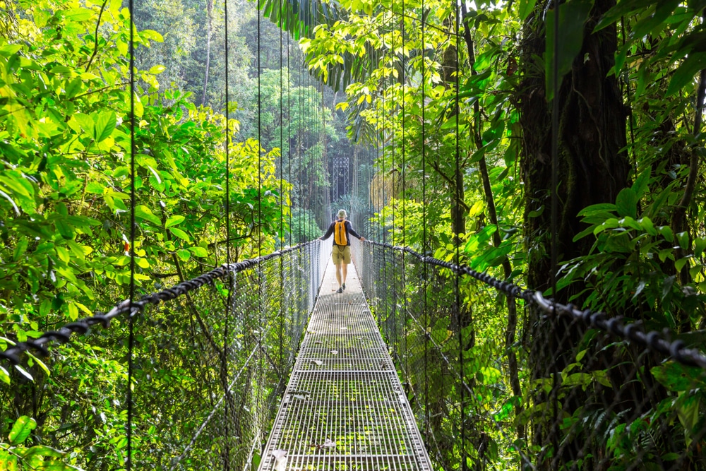 Randonnée dans la jungle tropicale verte, Costa Rica, Amérique Centrale