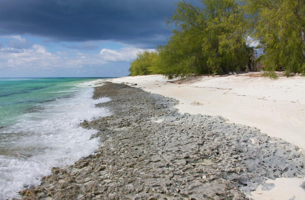 Atoll d'Aldabra